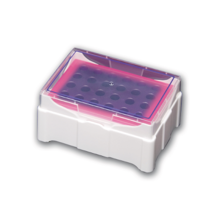 StarChill MCT, růžový/fialový StarChill MCT, růžový/fialový